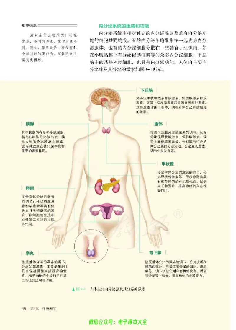 普通高中教科书生物学选择性必修1稳态与调节_高中三年全科资料_高中_高中电子教材_高中生物学_人教版_旧