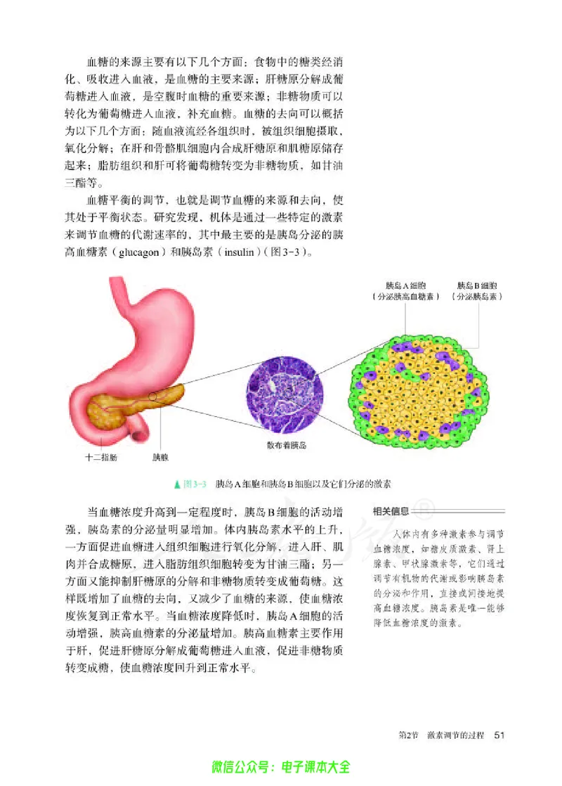普通高中教科书生物学选择性必修1稳态与调节_高中三年全科资料_高中_高中电子教材_高中生物学_人教版_旧