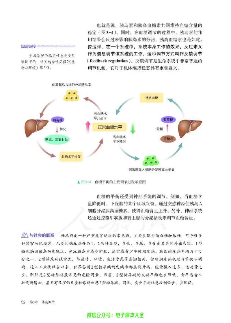 普通高中教科书生物学选择性必修1稳态与调节_高中三年全科资料_高中_高中电子教材_高中生物学_人教版_旧