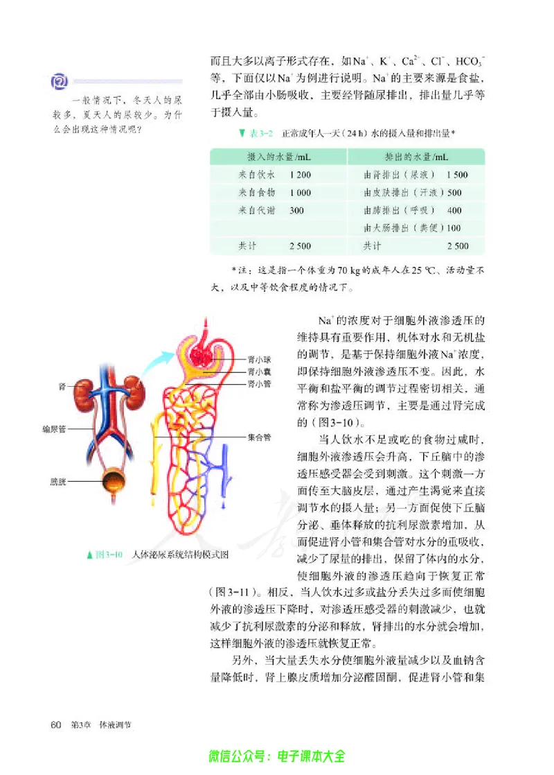 普通高中教科书生物学选择性必修1稳态与调节_高中三年全科资料_高中_高中电子教材_高中生物学_人教版_旧