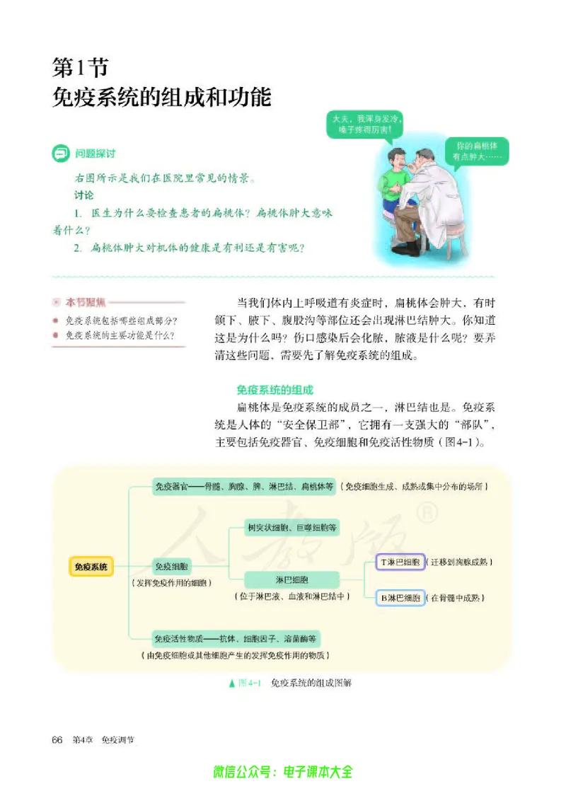 普通高中教科书生物学选择性必修1稳态与调节_高中三年全科资料_高中_高中电子教材_高中生物学_人教版_旧