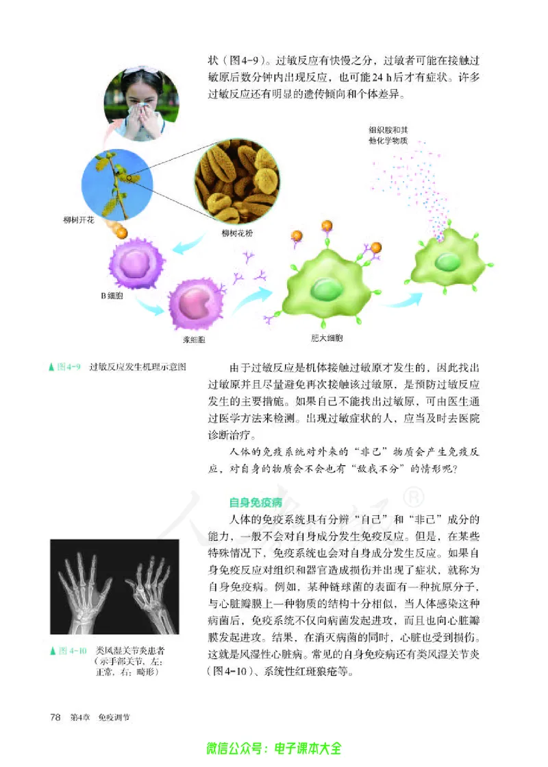 普通高中教科书生物学选择性必修1稳态与调节_高中三年全科资料_高中_高中电子教材_高中生物学_人教版_旧
