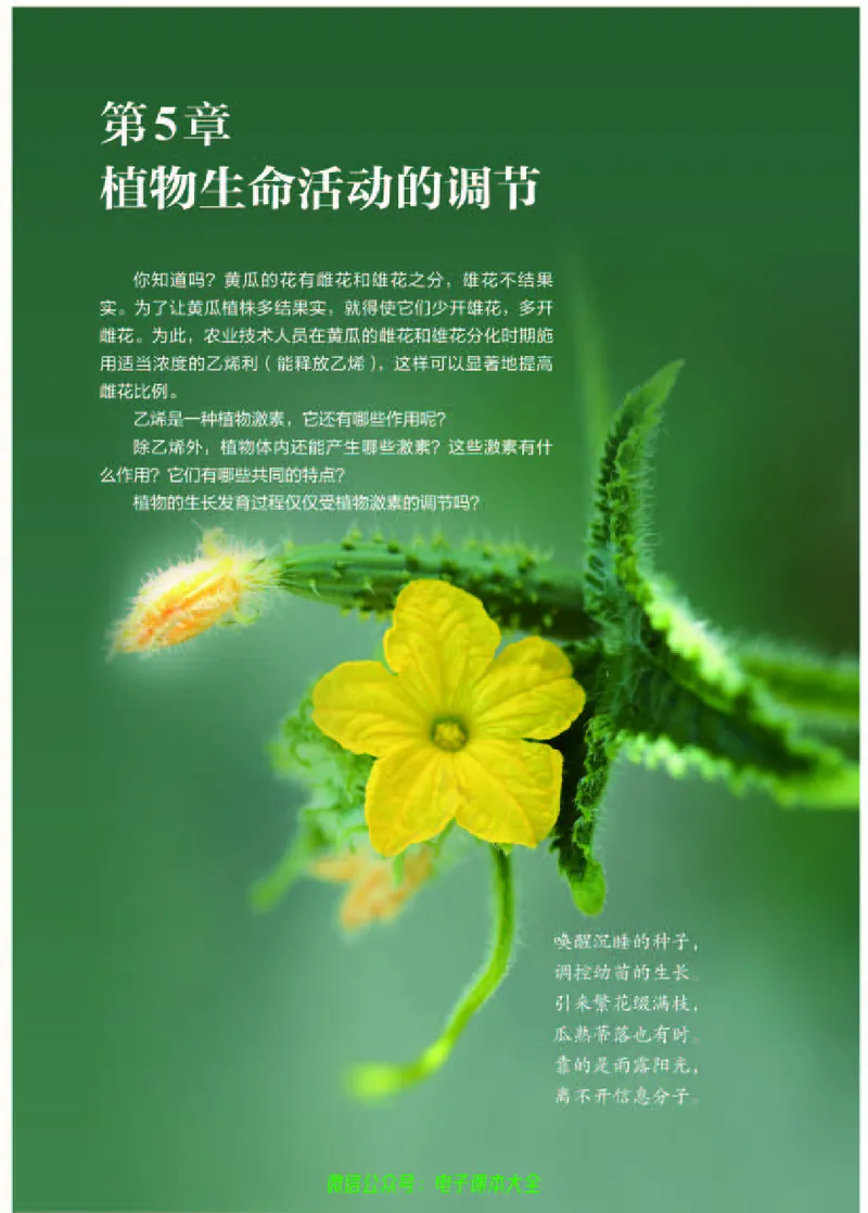 普通高中教科书生物学选择性必修1稳态与调节_高中三年全科资料_高中_高中电子教材_高中生物学_人教版_旧