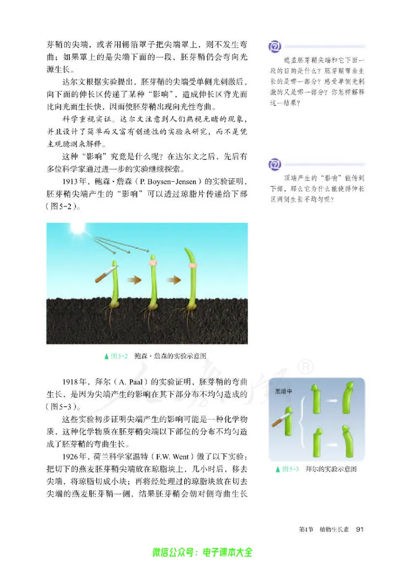 普通高中教科书生物学选择性必修1稳态与调节_高中三年全科资料_高中_高中电子教材_高中生物学_人教版_旧