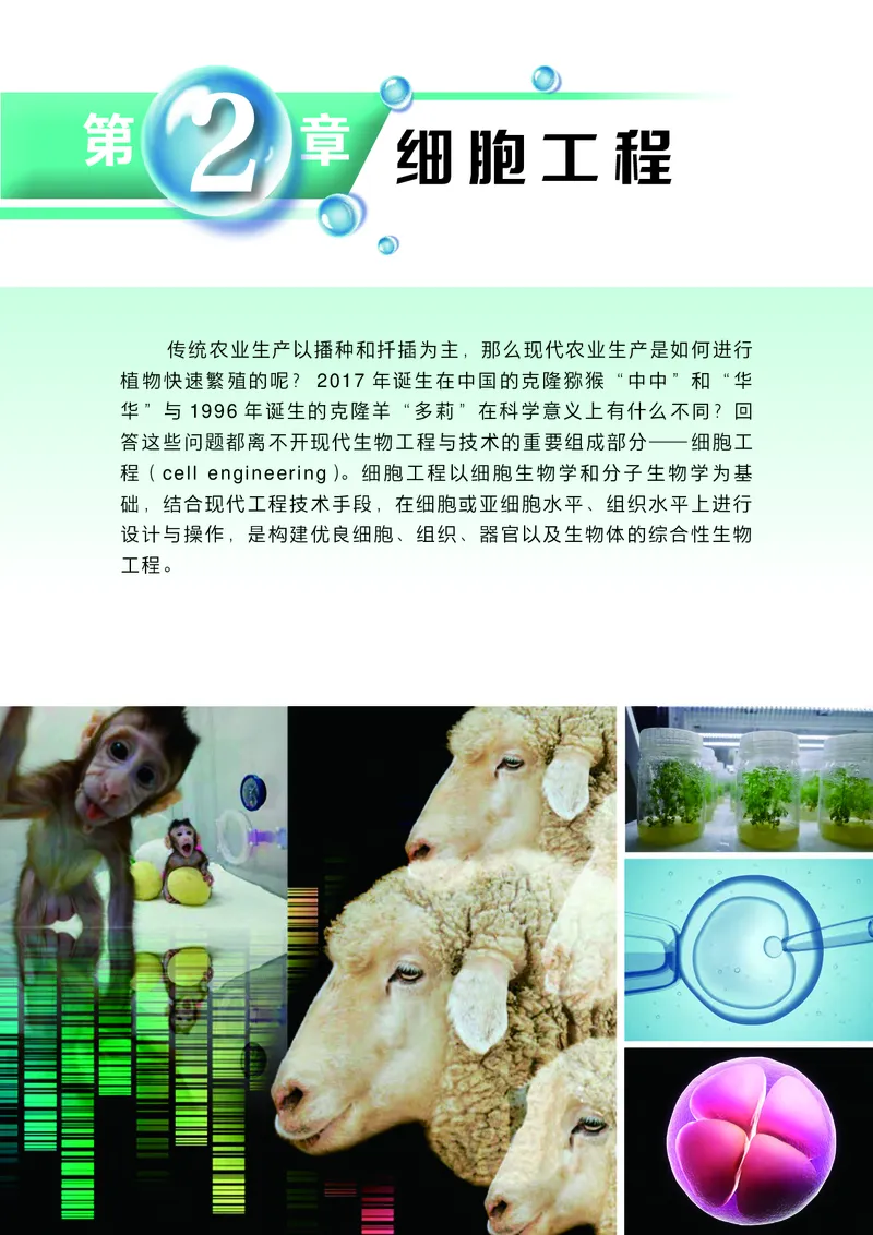 沪科技版高中生物选择性必修3_高中三年全科资料_高中各科课本电子教材_06高中生物课本_沪科技版