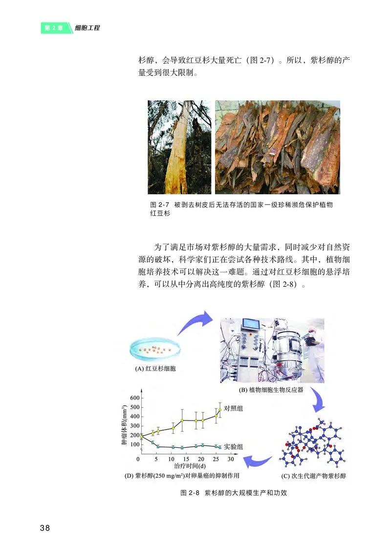沪科技版高中生物选择性必修3_高中三年全科资料_高中各科课本电子教材_06高中生物课本_沪科技版
