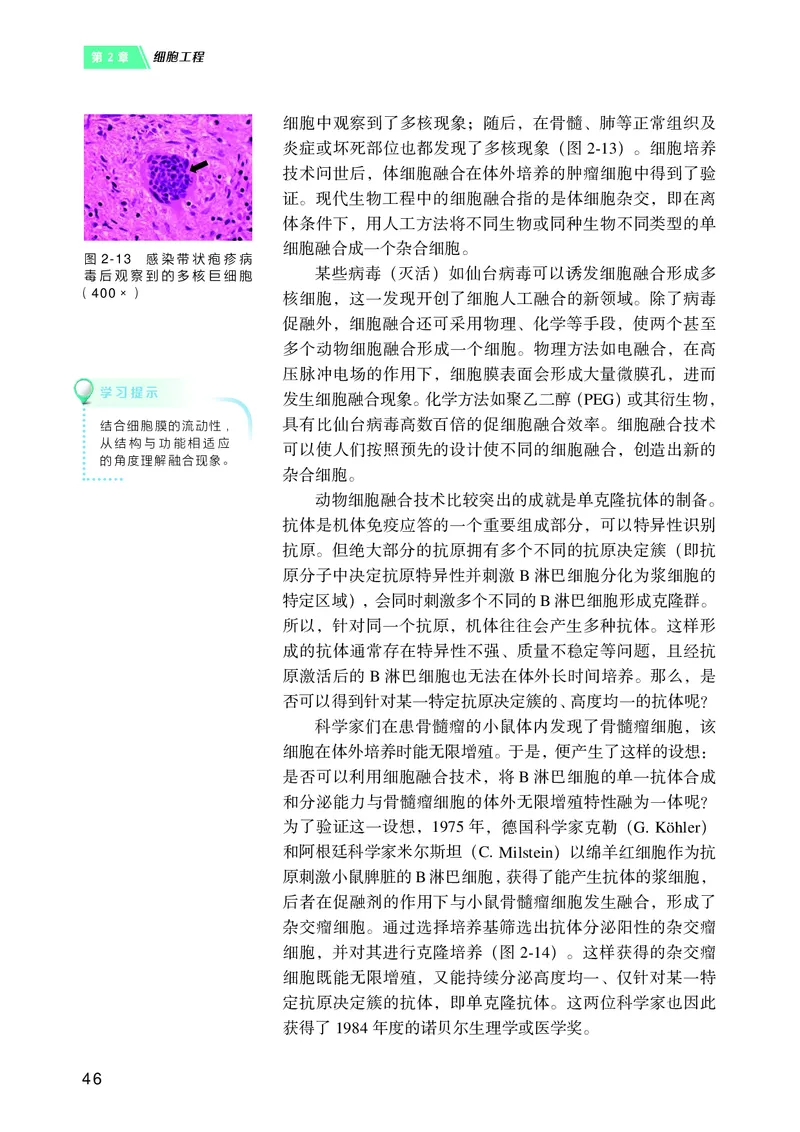沪科技版高中生物选择性必修3_高中三年全科资料_高中各科课本电子教材_06高中生物课本_沪科技版