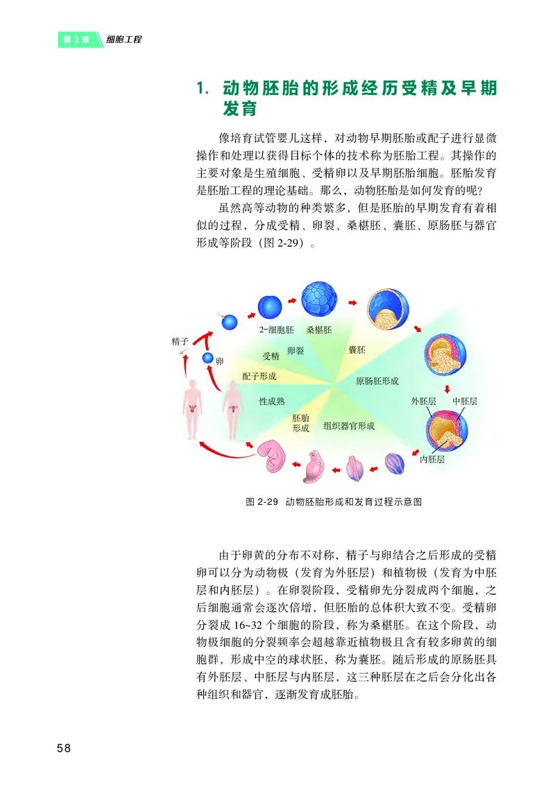 沪科技版高中生物选择性必修3_高中三年全科资料_高中各科课本电子教材_06高中生物课本_沪科技版
