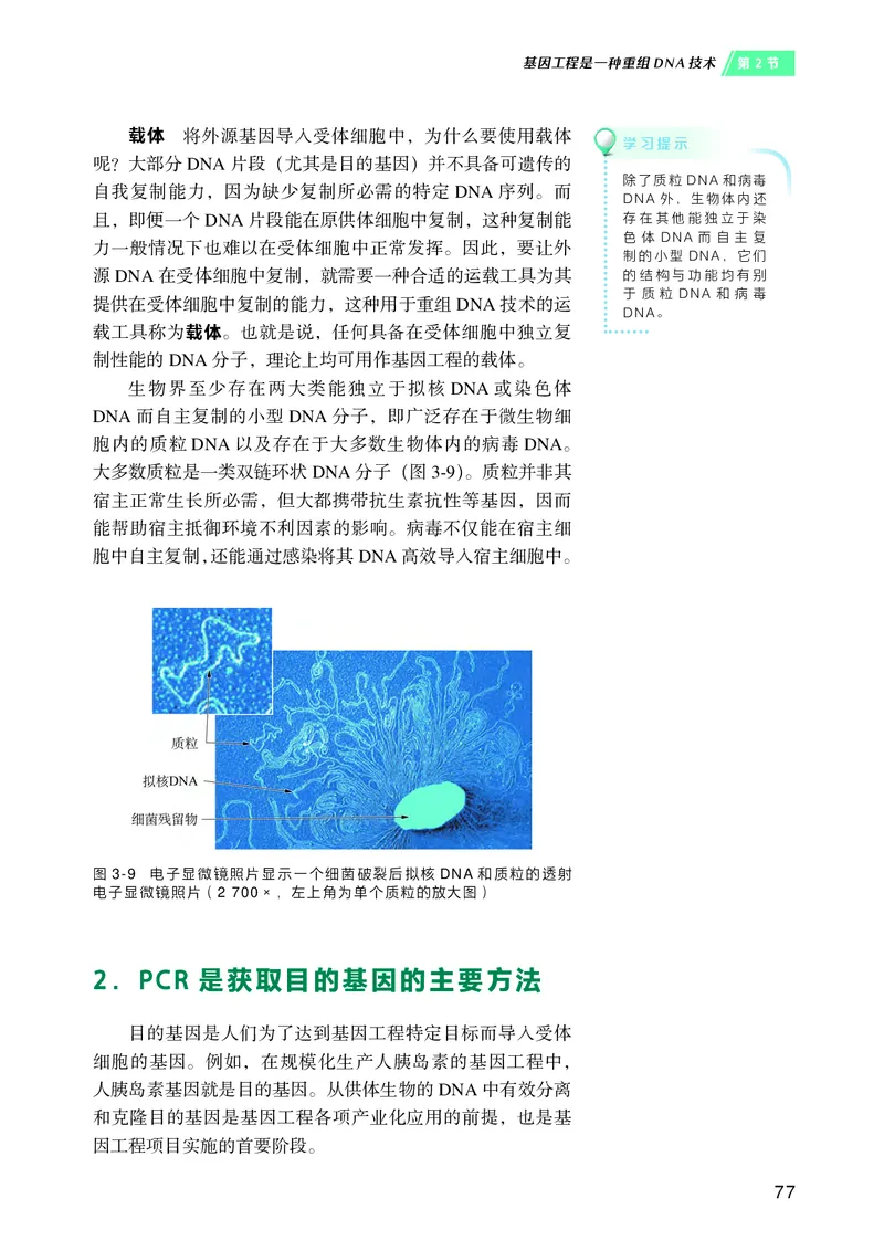 沪科技版高中生物选择性必修3_高中三年全科资料_高中各科课本电子教材_06高中生物课本_沪科技版