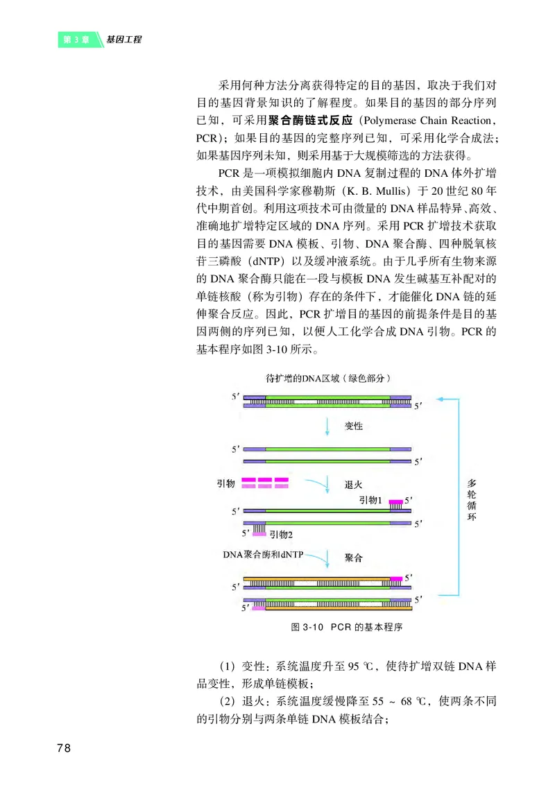 沪科技版高中生物选择性必修3_高中三年全科资料_高中各科课本电子教材_06高中生物课本_沪科技版