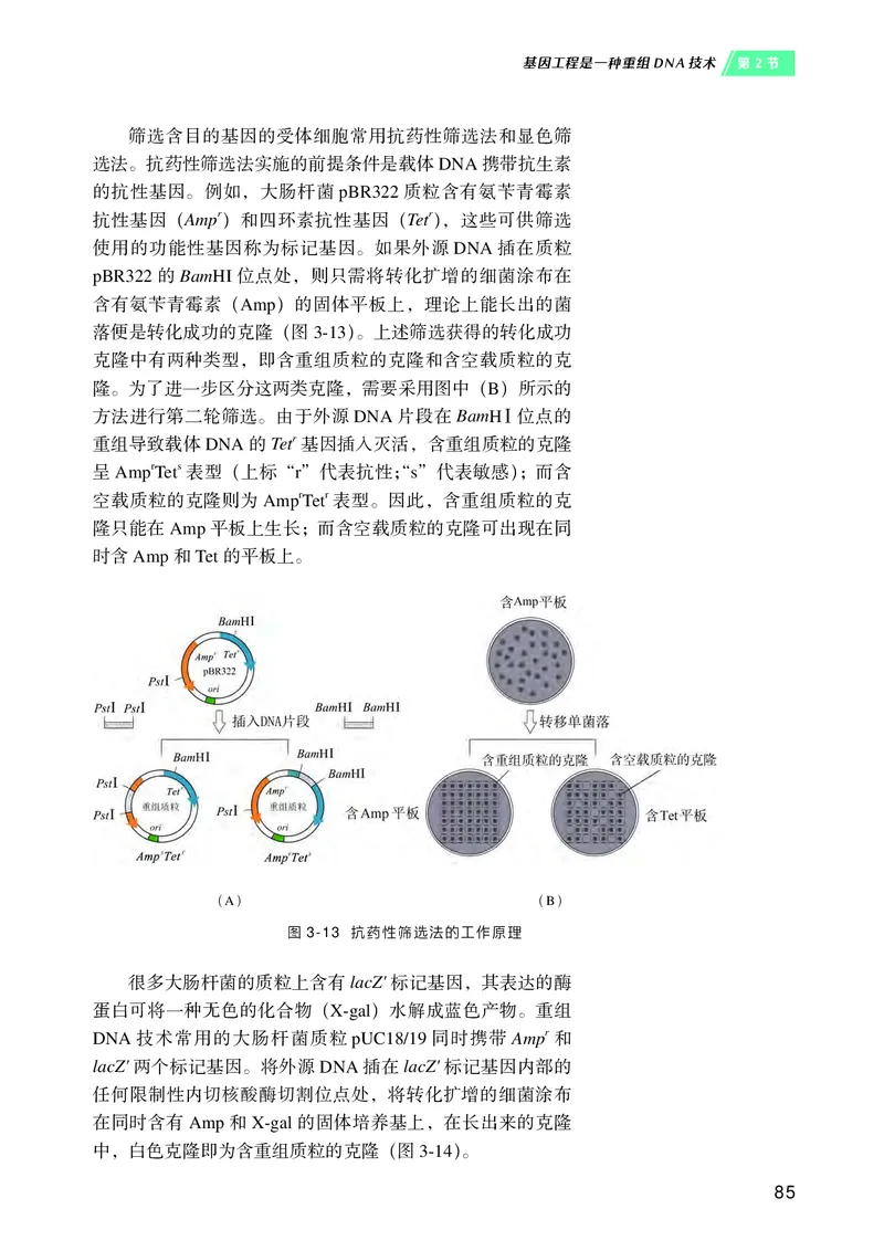 沪科技版高中生物选择性必修3_高中三年全科资料_高中各科课本电子教材_06高中生物课本_沪科技版