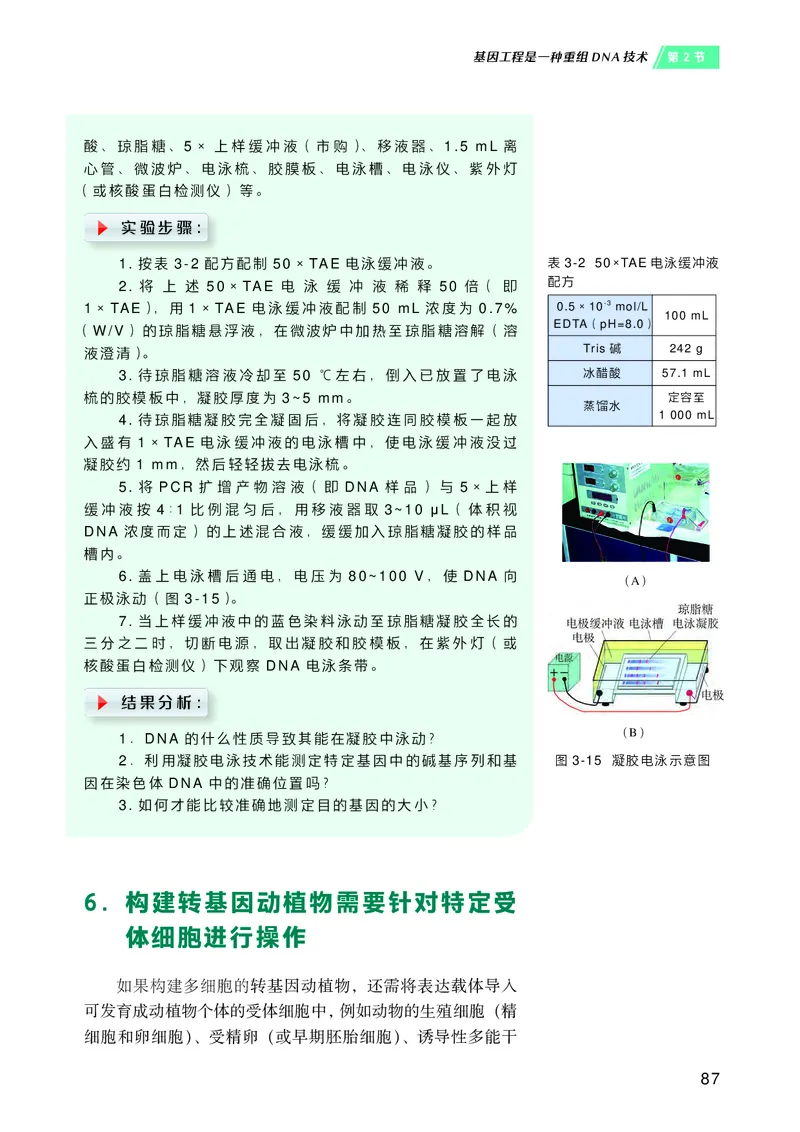 沪科技版高中生物选择性必修3_高中三年全科资料_高中各科课本电子教材_06高中生物课本_沪科技版