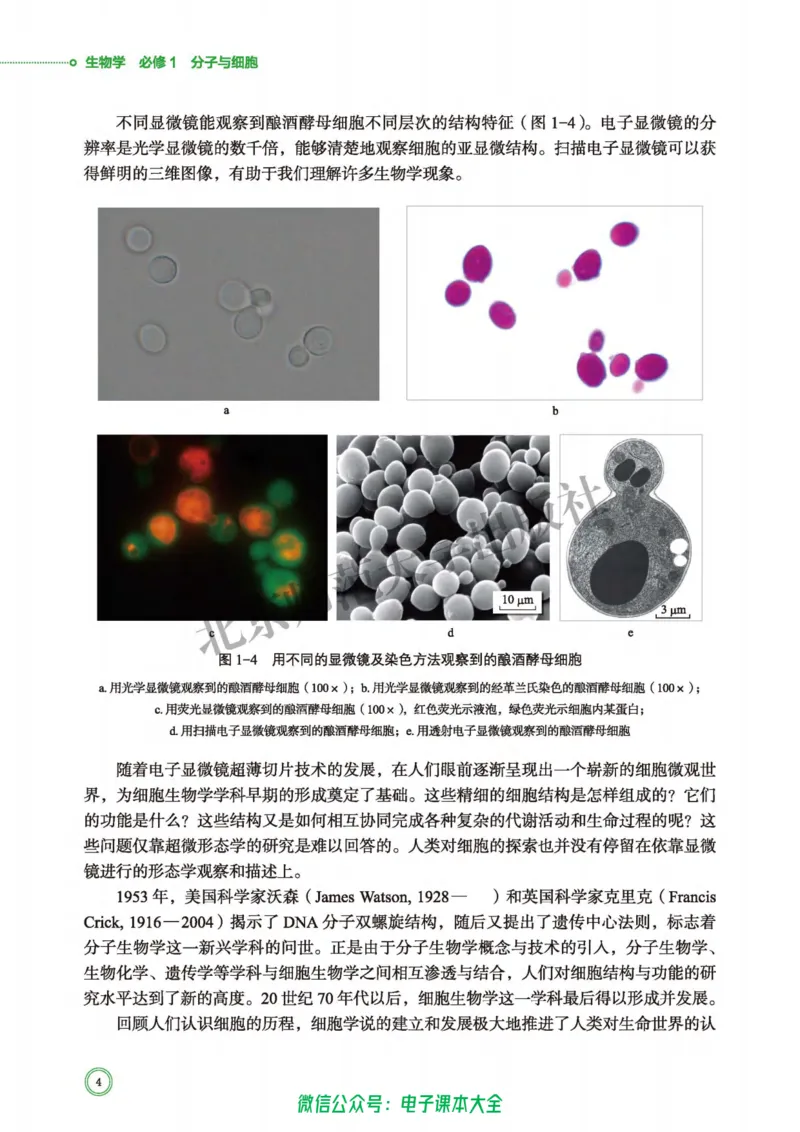 生物学必修1分子与细胞_高中三年全科资料_高中_高中电子教材_高中生物学_北师大