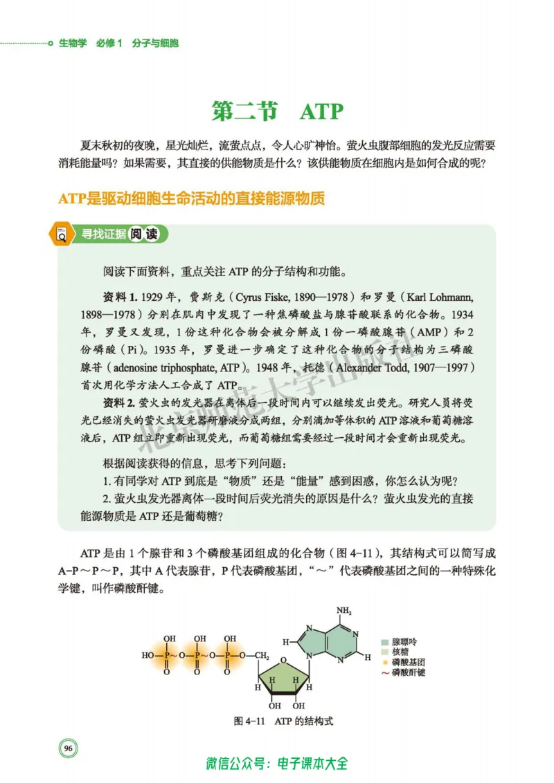 生物学必修1分子与细胞_高中三年全科资料_高中_高中电子教材_高中生物学_北师大