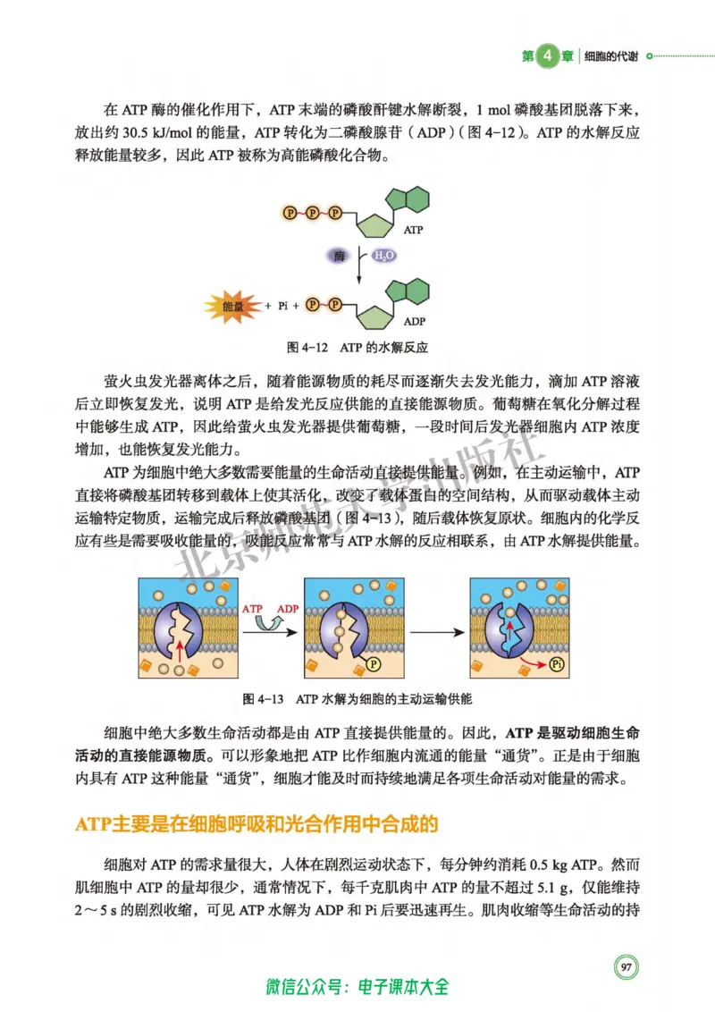 生物学必修1分子与细胞_高中三年全科资料_高中_高中电子教材_高中生物学_北师大