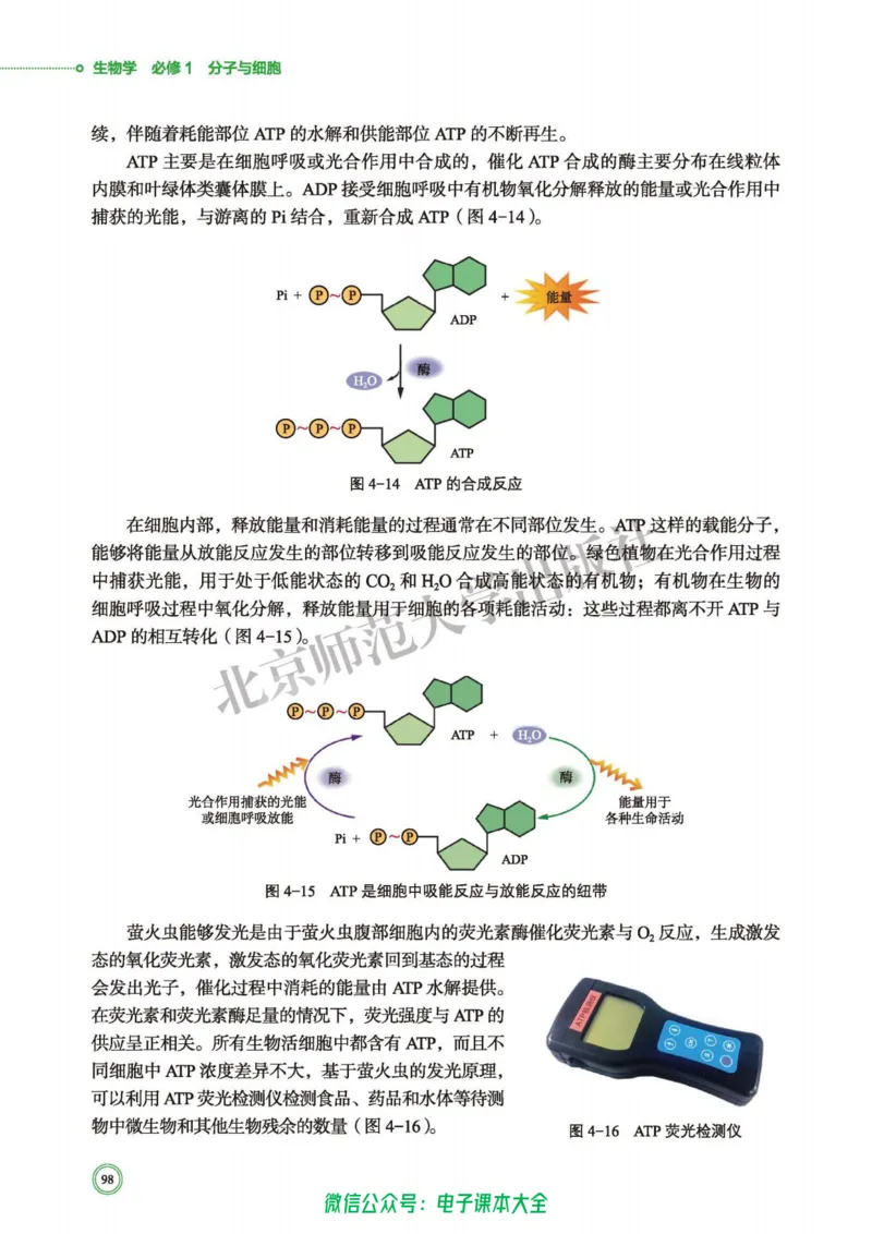 生物学必修1分子与细胞_高中三年全科资料_高中_高中电子教材_高中生物学_北师大