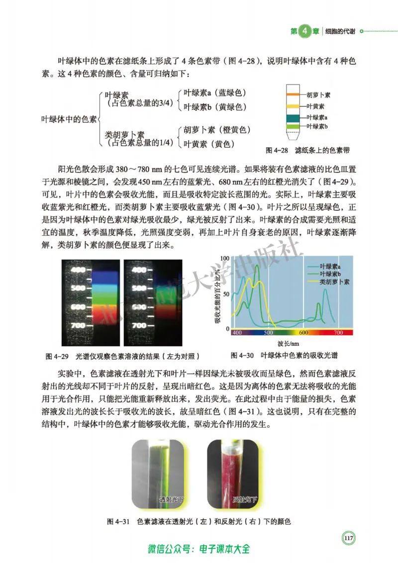 生物学必修1分子与细胞_高中三年全科资料_高中_高中电子教材_高中生物学_北师大