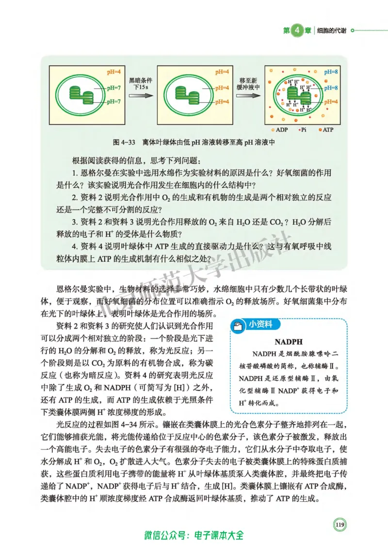 生物学必修1分子与细胞_高中三年全科资料_高中_高中电子教材_高中生物学_北师大