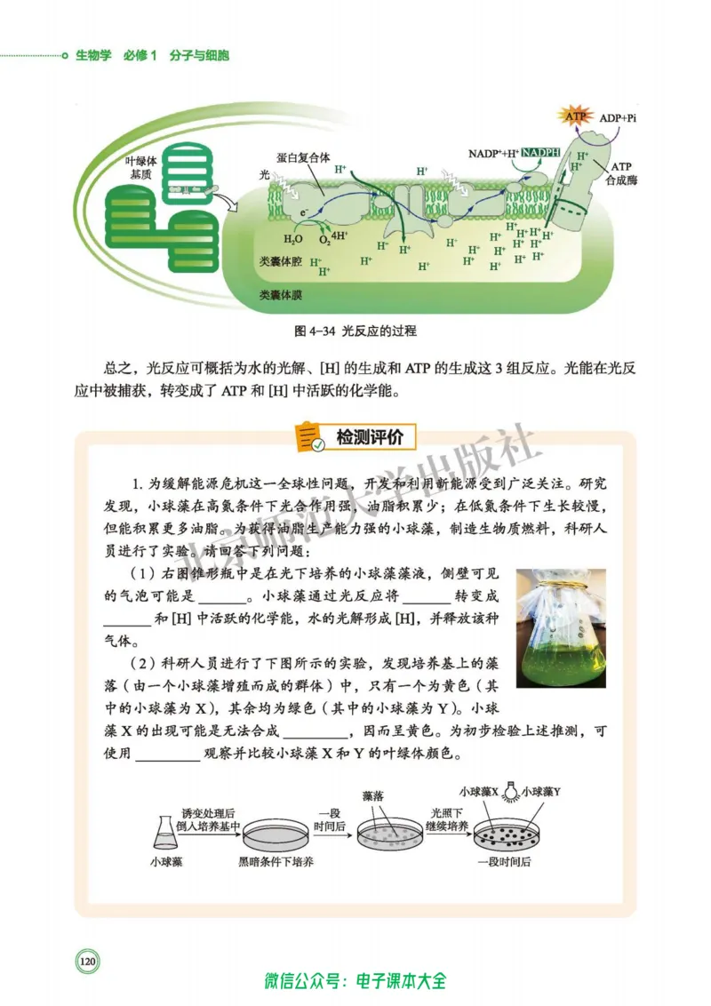 生物学必修1分子与细胞_高中三年全科资料_高中_高中电子教材_高中生物学_北师大