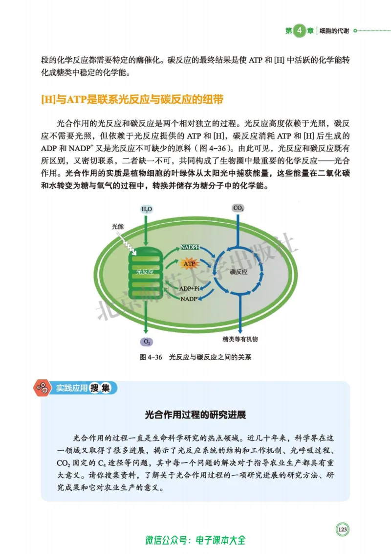 生物学必修1分子与细胞_高中三年全科资料_高中_高中电子教材_高中生物学_北师大
