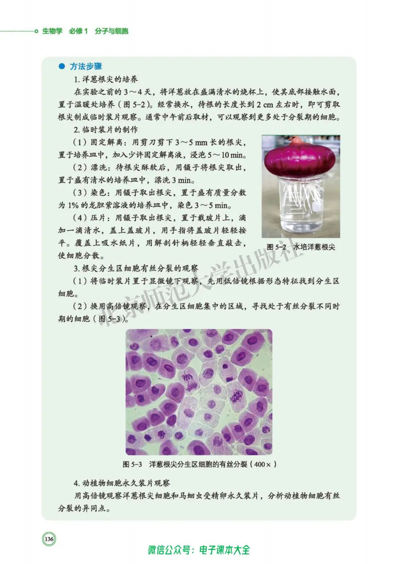 生物学必修1分子与细胞_高中三年全科资料_高中_高中电子教材_高中生物学_北师大