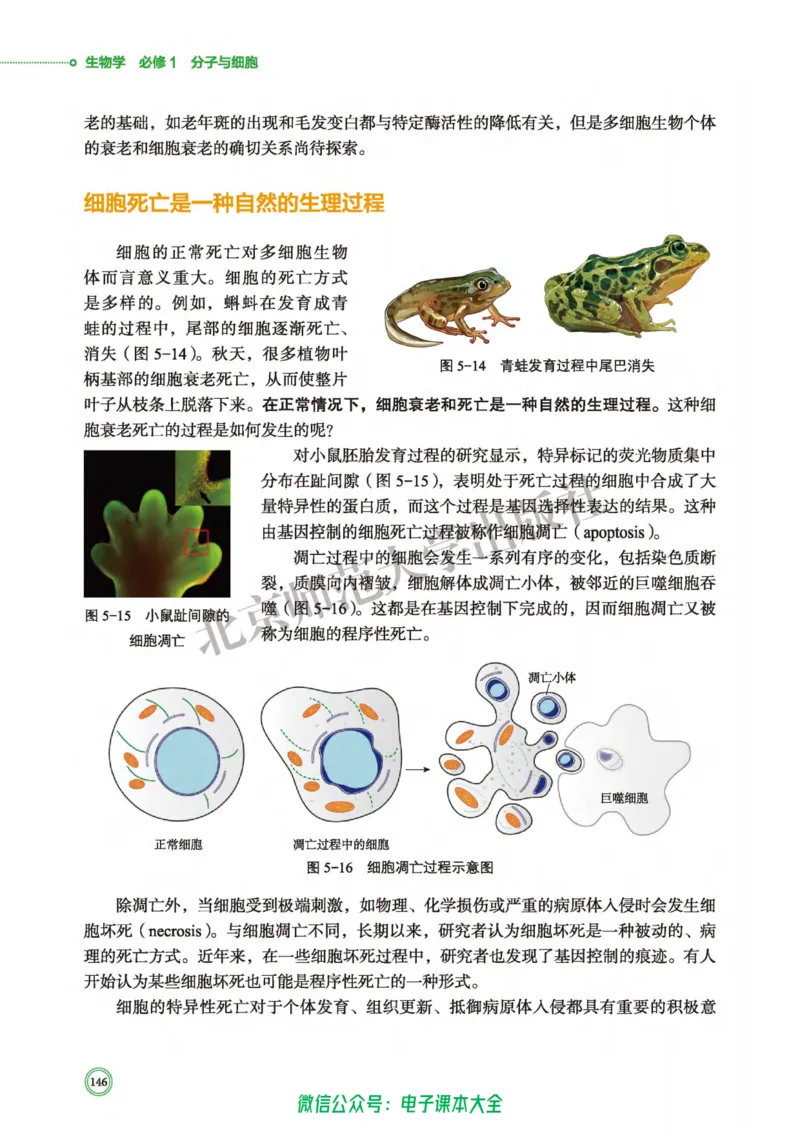 生物学必修1分子与细胞_高中三年全科资料_高中_高中电子教材_高中生物学_北师大