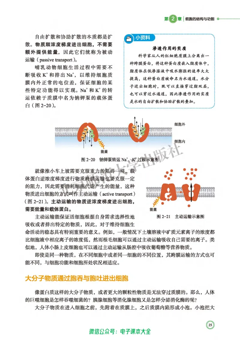 生物学必修1分子与细胞_高中三年全科资料_高中_高中电子教材_高中生物学_北师大