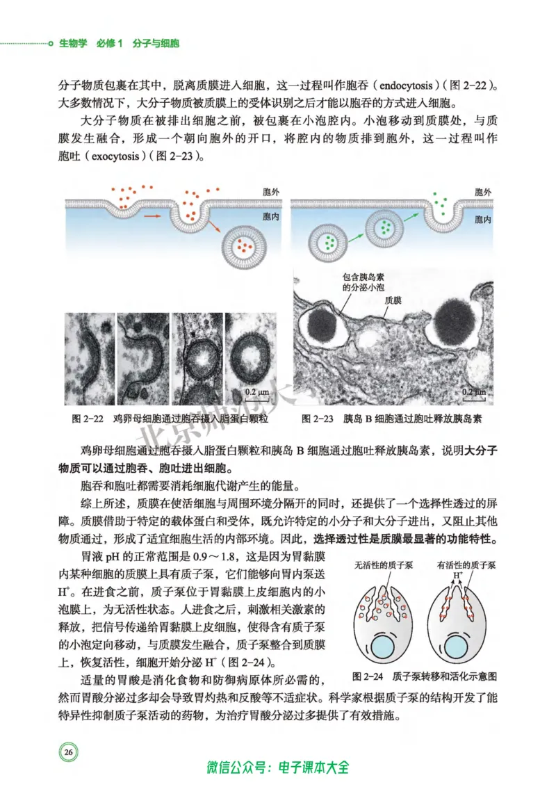 生物学必修1分子与细胞_高中三年全科资料_高中_高中电子教材_高中生物学_北师大