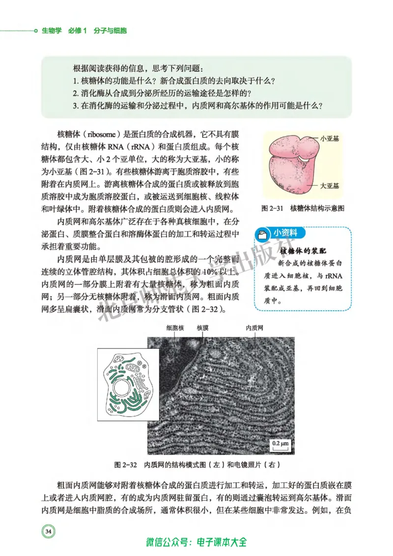 生物学必修1分子与细胞_高中三年全科资料_高中_高中电子教材_高中生物学_北师大