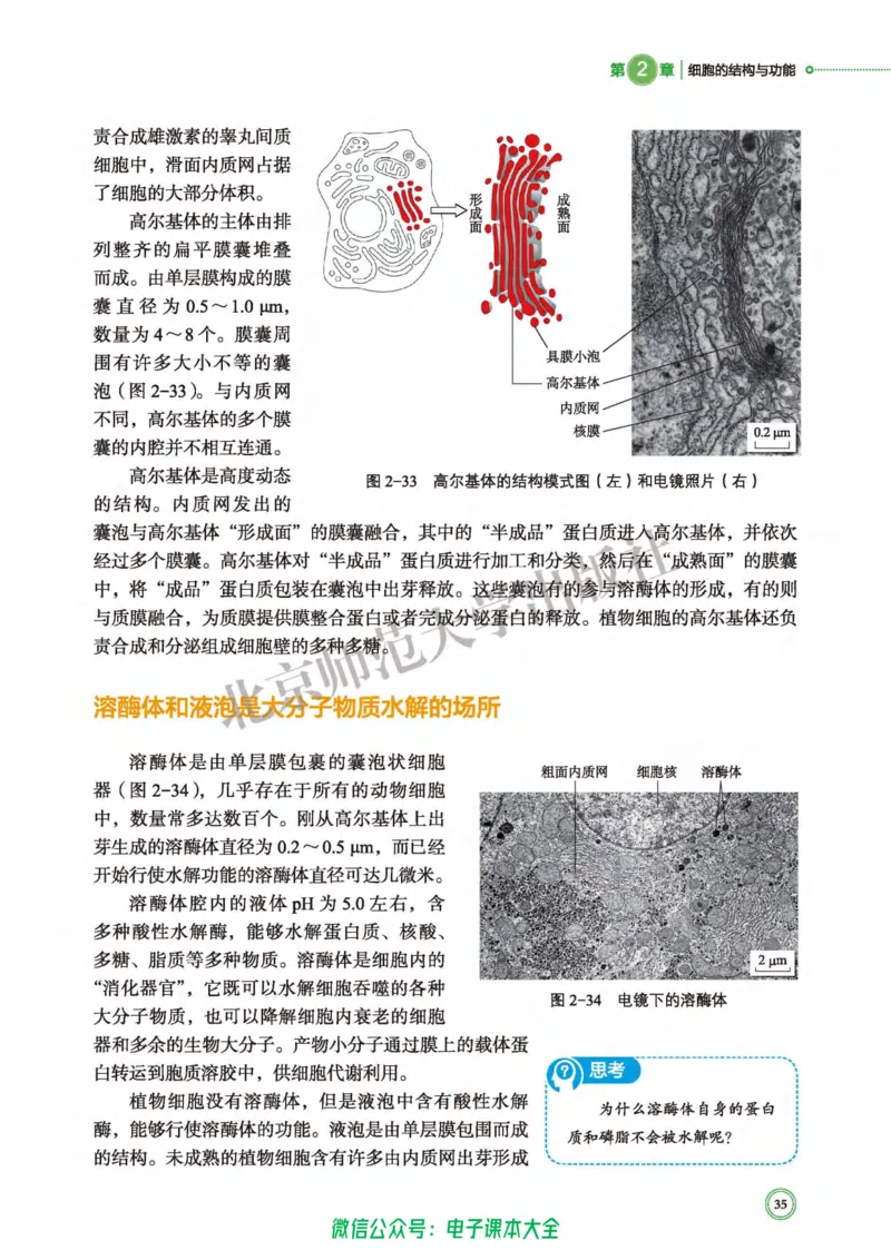 生物学必修1分子与细胞_高中三年全科资料_高中_高中电子教材_高中生物学_北师大