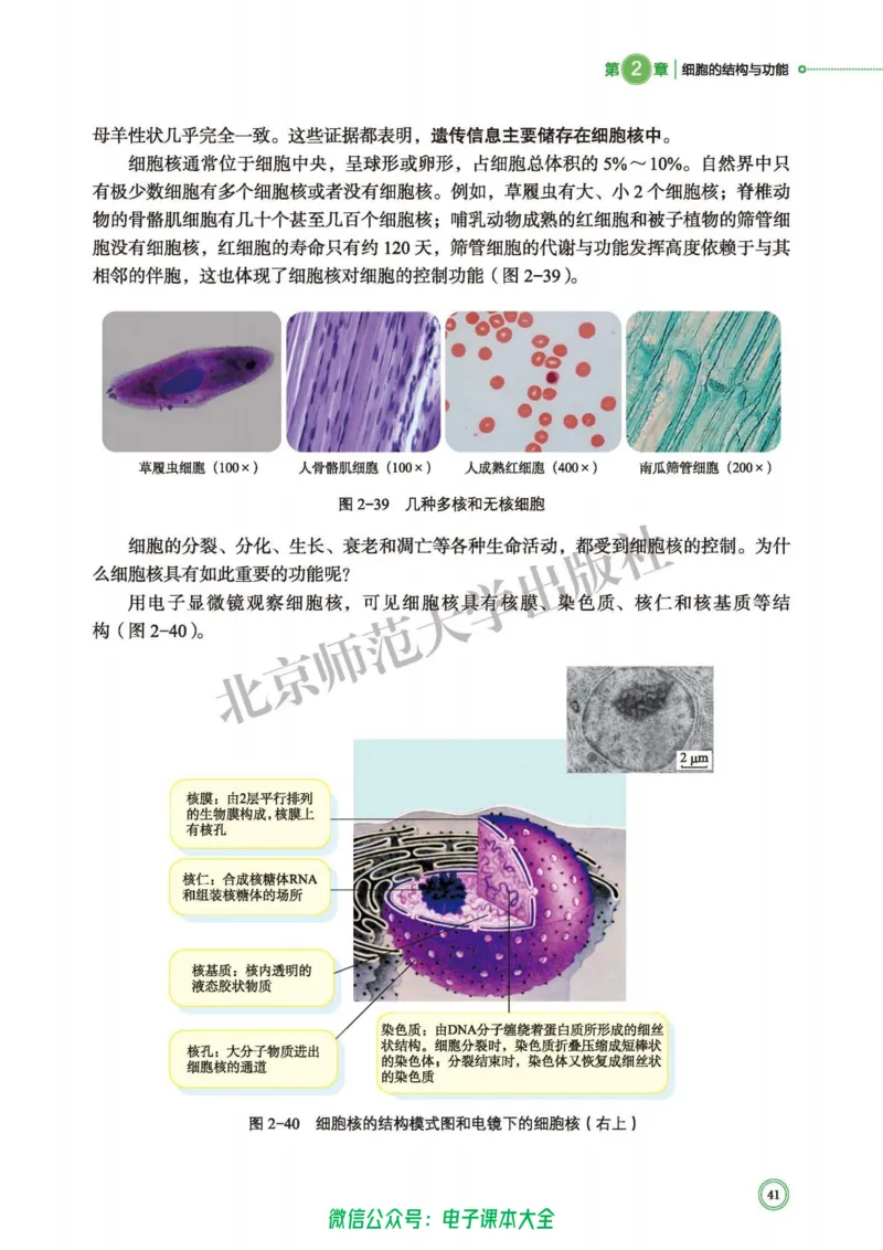 生物学必修1分子与细胞_高中三年全科资料_高中_高中电子教材_高中生物学_北师大