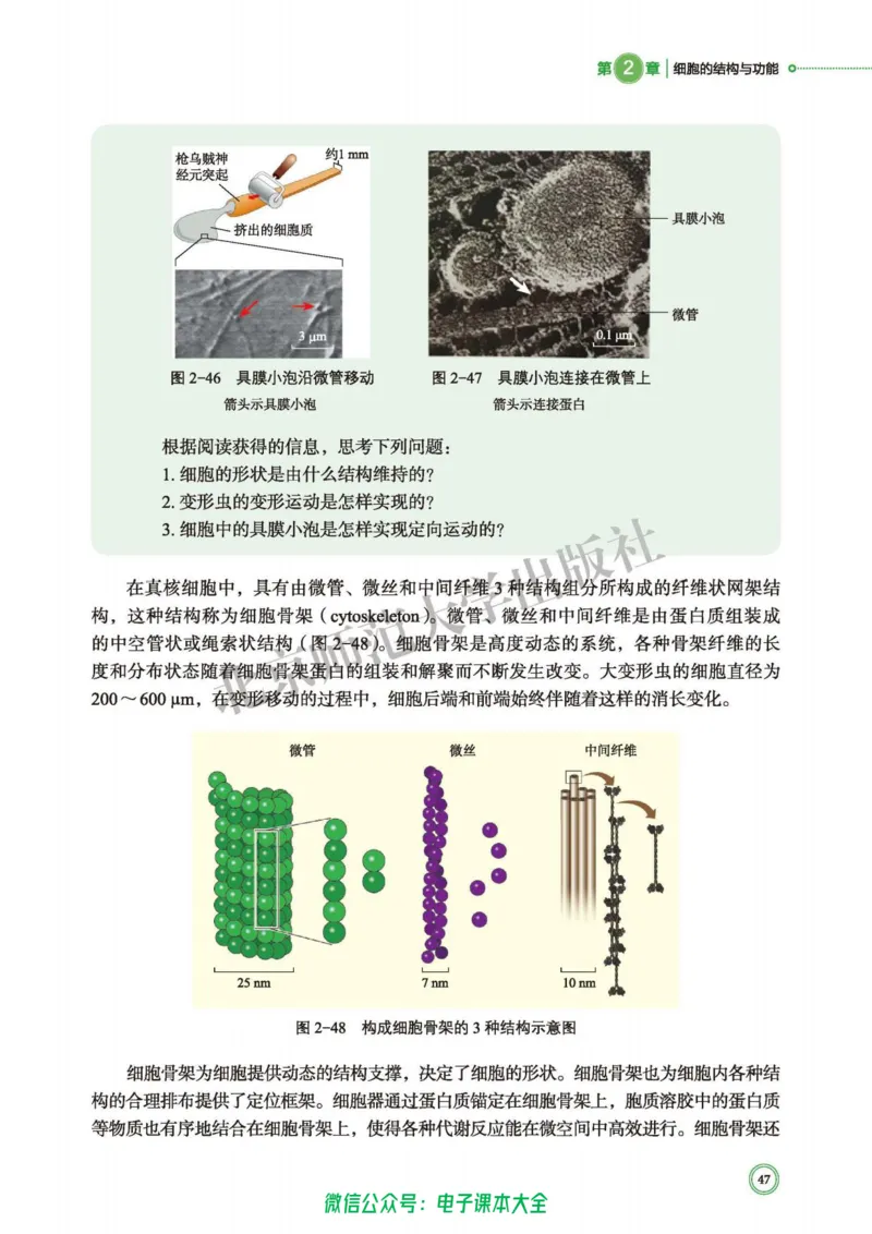 生物学必修1分子与细胞_高中三年全科资料_高中_高中电子教材_高中生物学_北师大