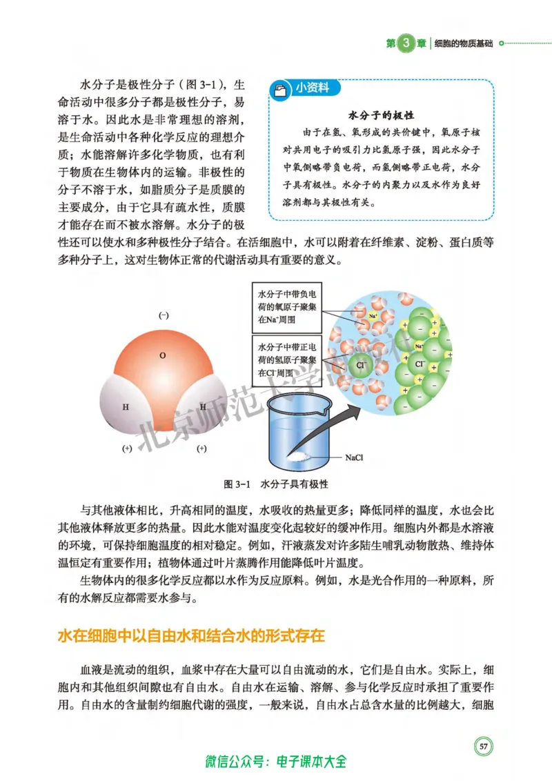 生物学必修1分子与细胞_高中三年全科资料_高中_高中电子教材_高中生物学_北师大