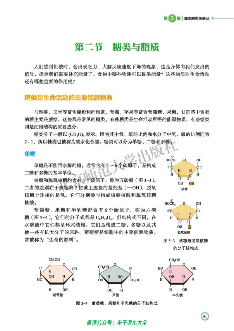 生物学必修1分子与细胞_高中三年全科资料_高中_高中电子教材_高中生物学_北师大