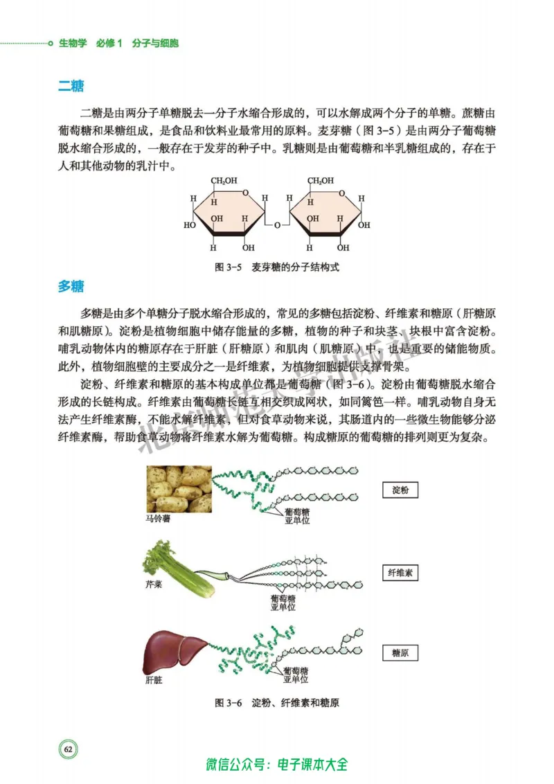 生物学必修1分子与细胞_高中三年全科资料_高中_高中电子教材_高中生物学_北师大