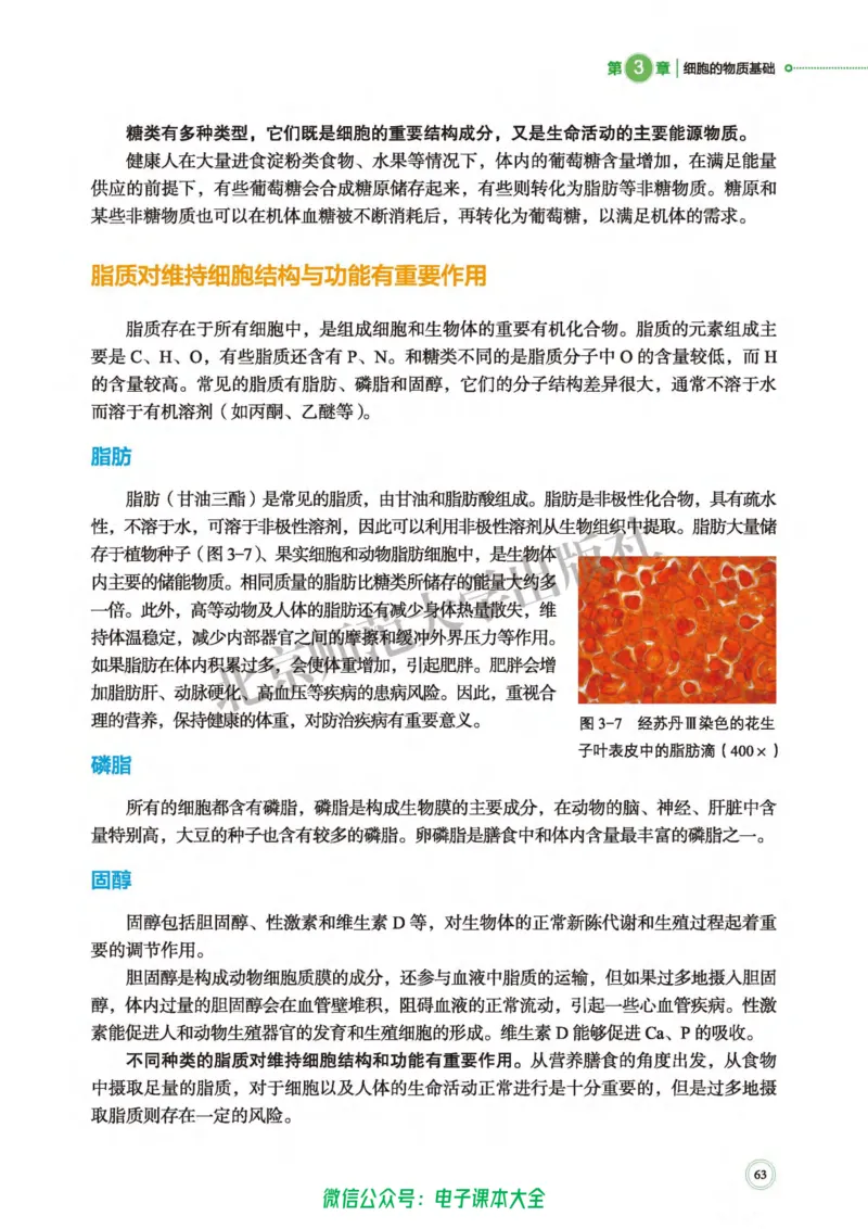 生物学必修1分子与细胞_高中三年全科资料_高中_高中电子教材_高中生物学_北师大