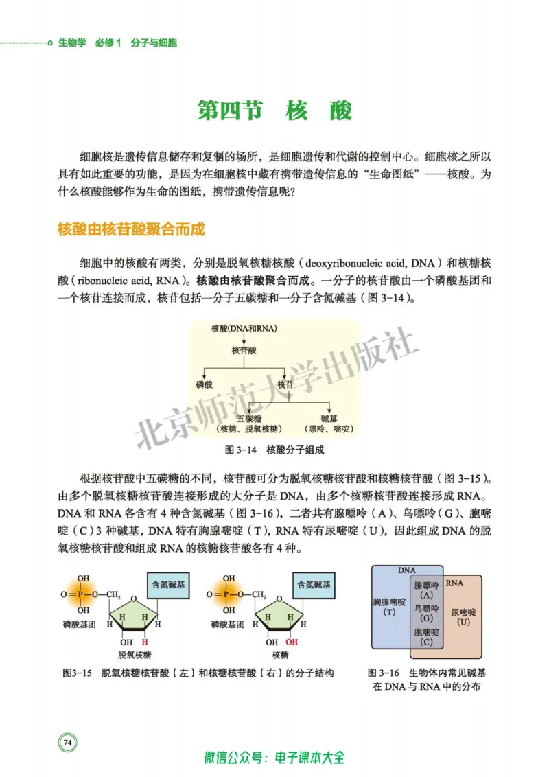 生物学必修1分子与细胞_高中三年全科资料_高中_高中电子教材_高中生物学_北师大