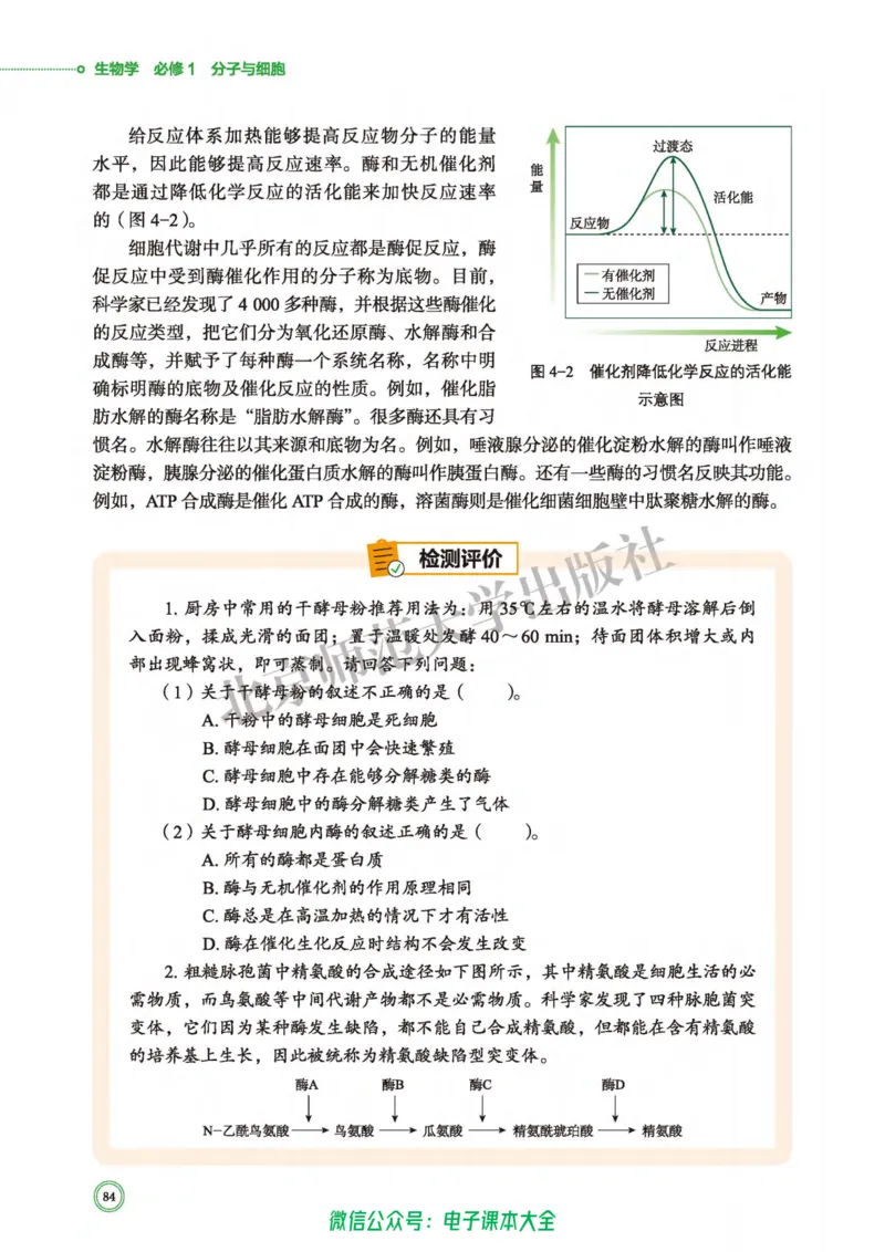 生物学必修1分子与细胞_高中三年全科资料_高中_高中电子教材_高中生物学_北师大