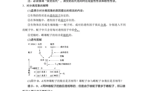 第1章遗传因子的发现-知识点总结-2021-2022学年高中生物新教材人教版必修2&nbsp;&nbsp;&nbsp;_高中三年全科资料_高中_1高中基础资料包_A-高中必背9科知识点_生物_高中生物全书知识点梳理+总结