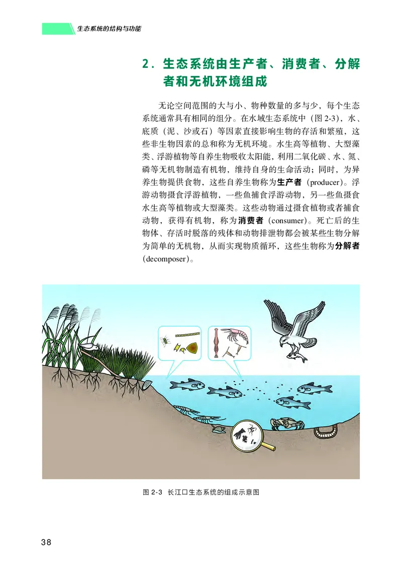普通高中教科书生物学选择性必修2生物与环境_高中三年全科资料_高中_高中电子教材_高中生物学_沪科技版
