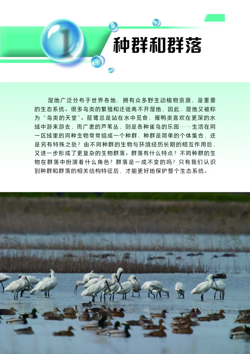 普通高中教科书生物学选择性必修2生物与环境_高中三年全科资料_高中_高中电子教材_高中生物学_沪科技版