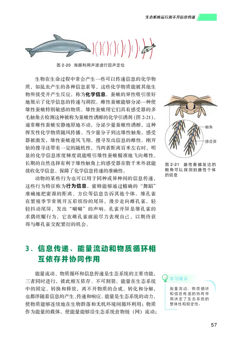 普通高中教科书生物学选择性必修2生物与环境_高中三年全科资料_高中_高中电子教材_高中生物学_沪科技版