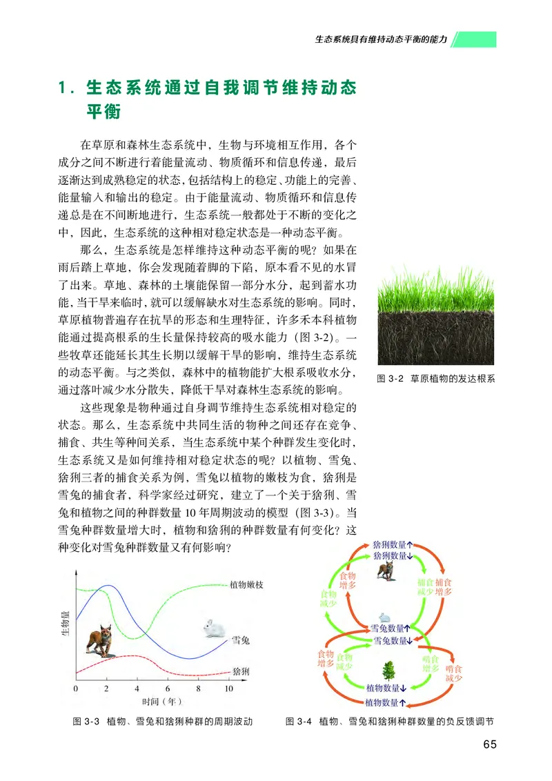 普通高中教科书生物学选择性必修2生物与环境_高中三年全科资料_高中_高中电子教材_高中生物学_沪科技版