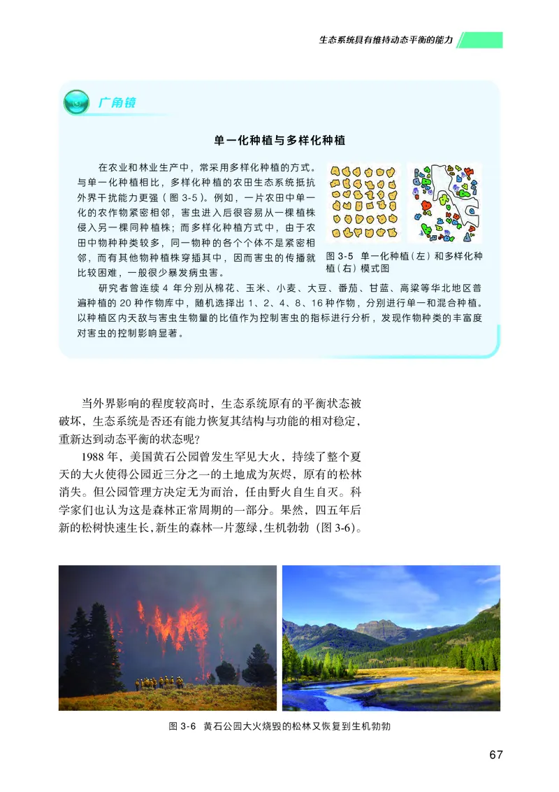 普通高中教科书生物学选择性必修2生物与环境_高中三年全科资料_高中_高中电子教材_高中生物学_沪科技版