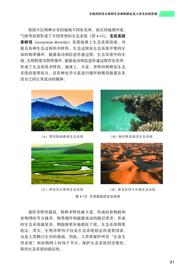 普通高中教科书生物学选择性必修2生物与环境_高中三年全科资料_高中_高中电子教材_高中生物学_沪科技版