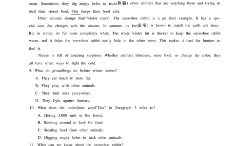 2026《万唯中考&bull;辽宁黑白卷》英语白卷A4_2026中考押题卷合集_2026《万唯中考黑白卷》地方版(1)_2026《万唯中考&bull;辽宁黑白卷》7科_2026《万唯中考&bull;辽宁黑白卷》英语