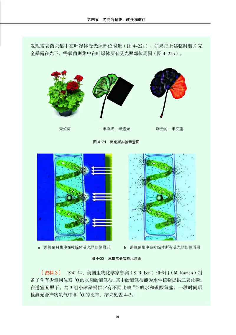 生物学必修1（电子版）_高中三年全科资料_高中_高中电子教材_高中生物学_沪科教版