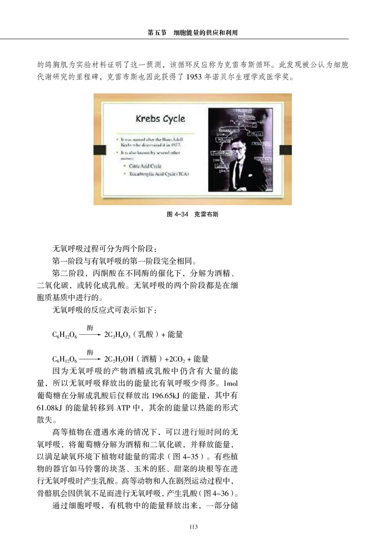 生物学必修1（电子版）_高中三年全科资料_高中_高中电子教材_高中生物学_沪科教版
