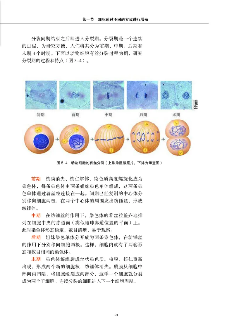 生物学必修1（电子版）_高中三年全科资料_高中_高中电子教材_高中生物学_沪科教版