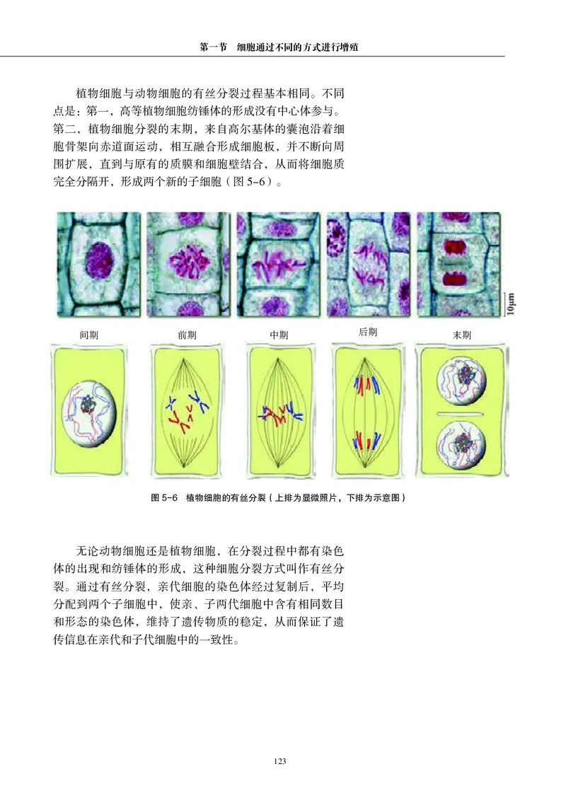 生物学必修1（电子版）_高中三年全科资料_高中_高中电子教材_高中生物学_沪科教版